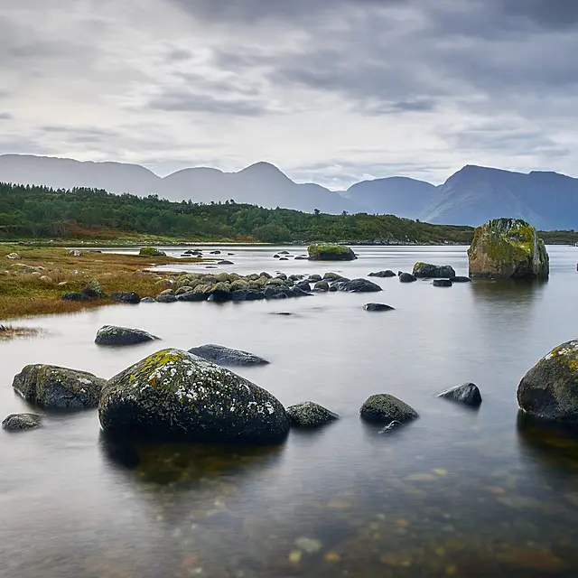 Vurderer du å bestille Norgespris? Vurderer du å bestille Norgespris?