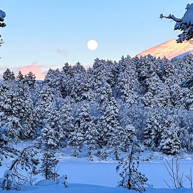 Høye strømpriser: Dette driver prisene Høye strømpriser: Dette driver prisene