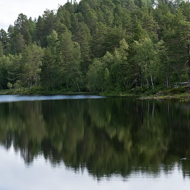 Slik bestiller du Norgespris