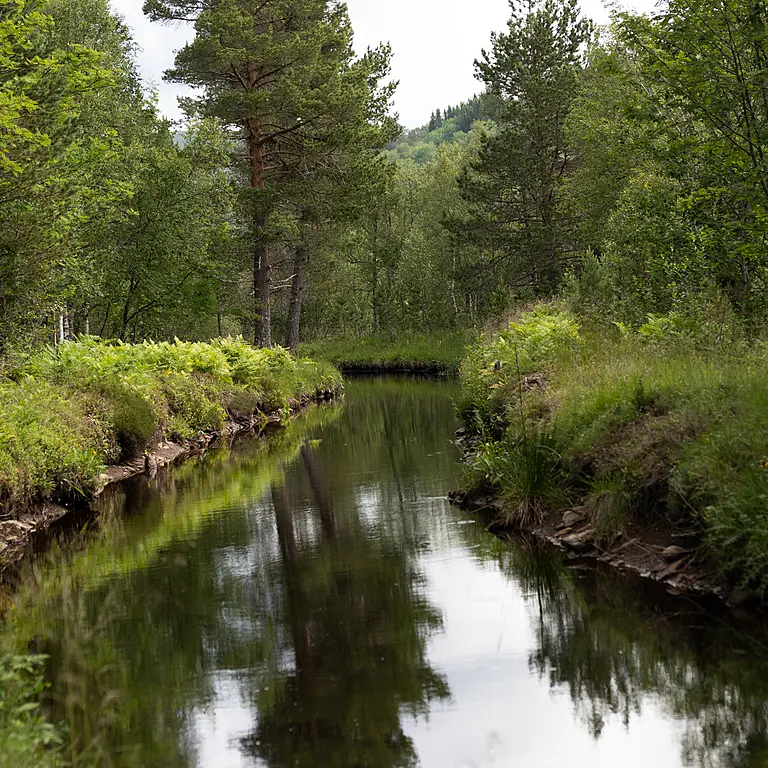 Kraft fra naturen siden 1919 Kraft fra naturen siden 1919