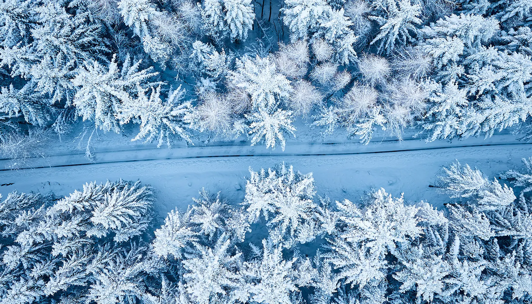 Økt interesse for Norgespris Økt interesse for Norgespris