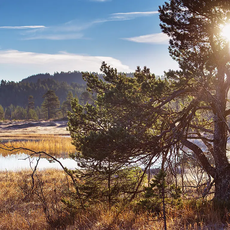 Vi tar bærekraft på alvor Vi tar bærekraft på alvor