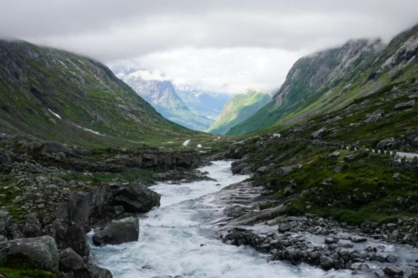 Norgespris kan bli høstens prisvinner i Midt-Norge