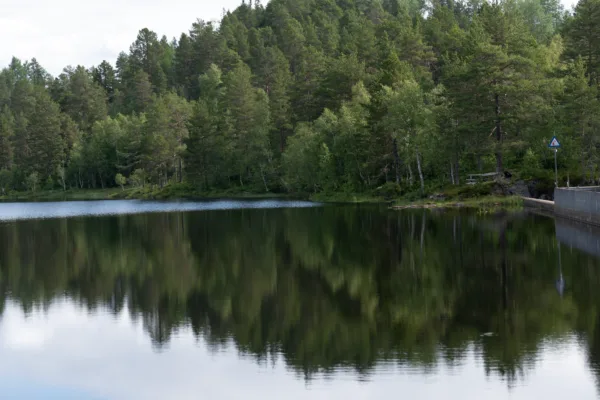 Slik bestiller du Norgespris